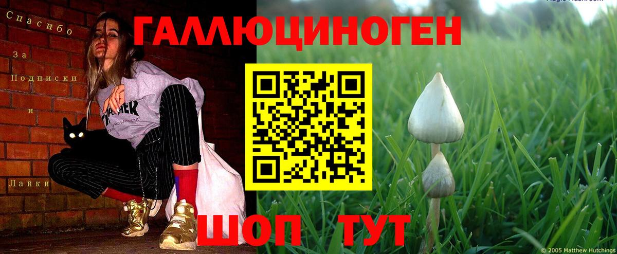 Галлюциногенные грибы Cubensis  Вход с VPN  Калуга 